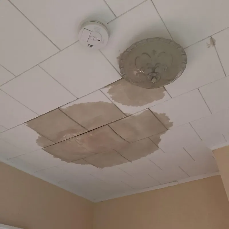Ceiling Water Damage Repair in Ashburn, IL