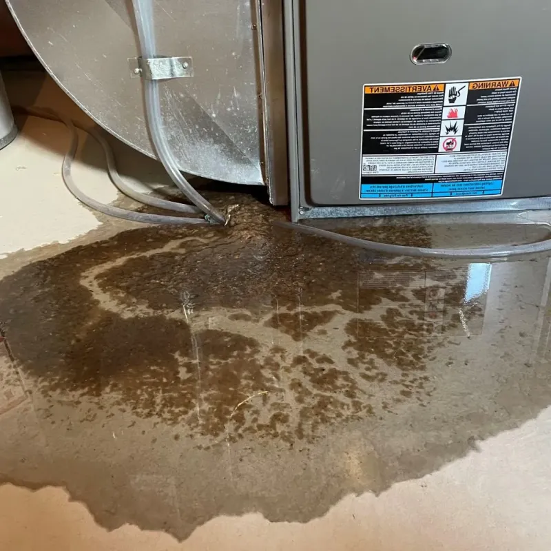Pipe Burst and Leak Restoration in Ashburn, IL