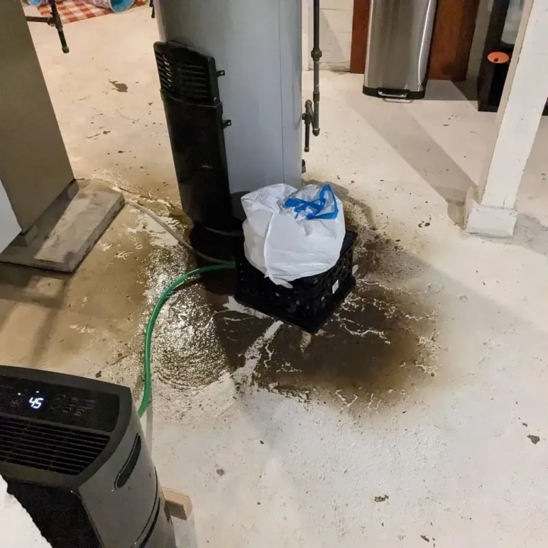 Sewage Backup Cleanup Service in Ashburn, IL